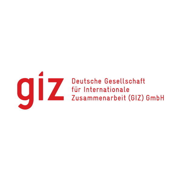 logo giz